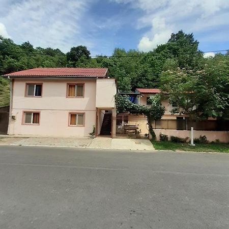 Casa Iza Apartment Baile Herculane Bagian luar foto