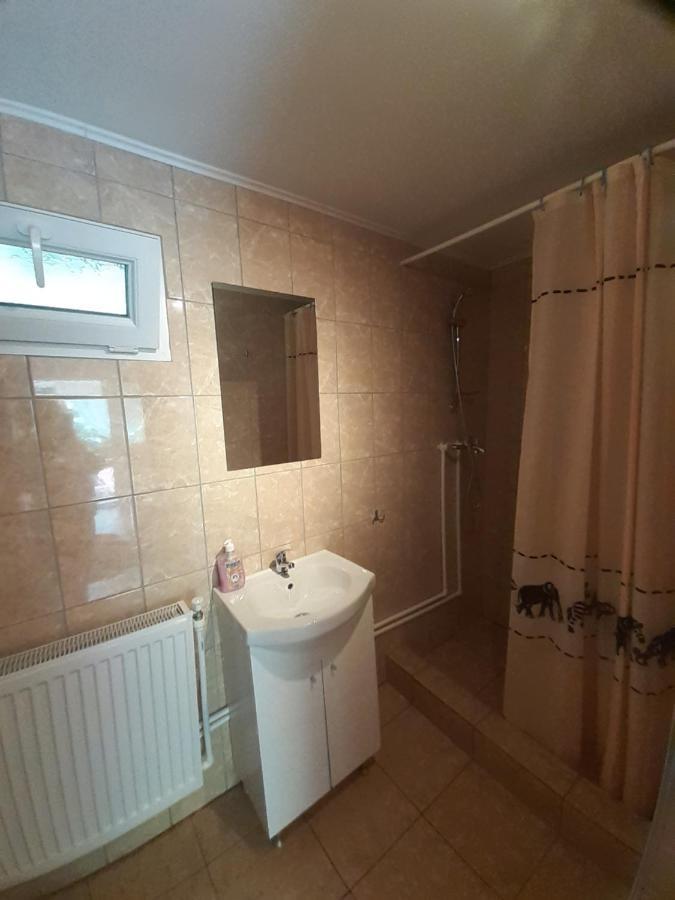 Casa Iza Apartment Baile Herculane Bagian luar foto
