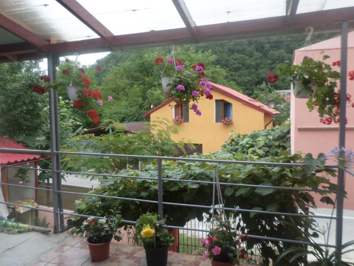 Casa Iza Apartment Baile Herculane Bagian luar foto