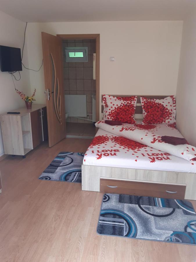 Casa Iza Apartment Baile Herculane Bagian luar foto
