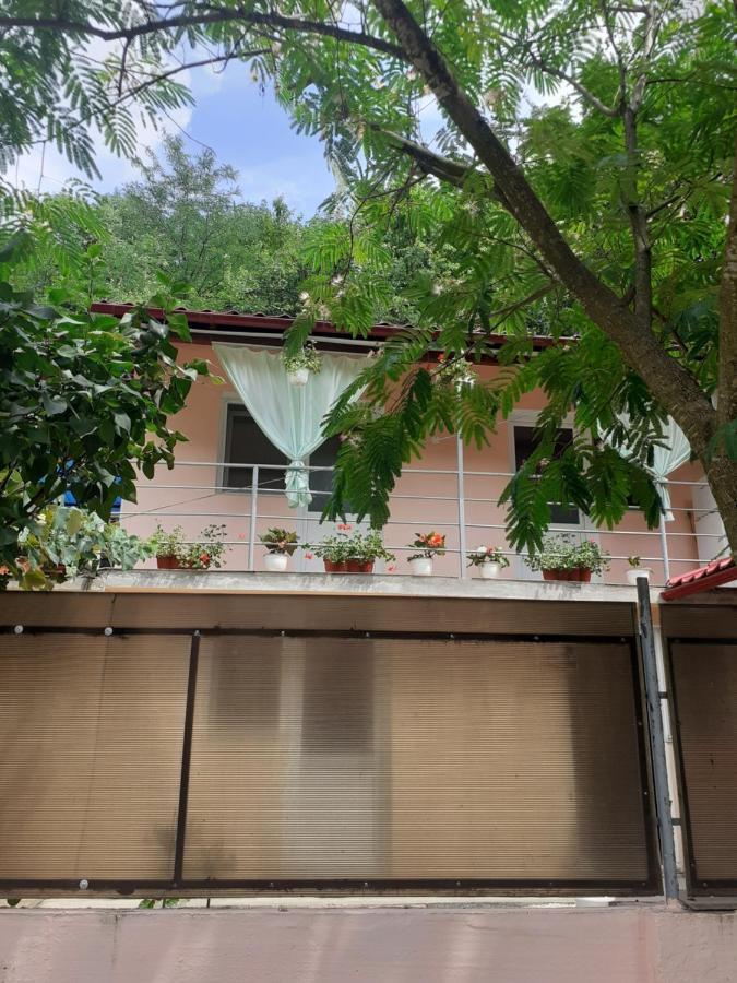 Casa Iza Apartment Baile Herculane Bagian luar foto