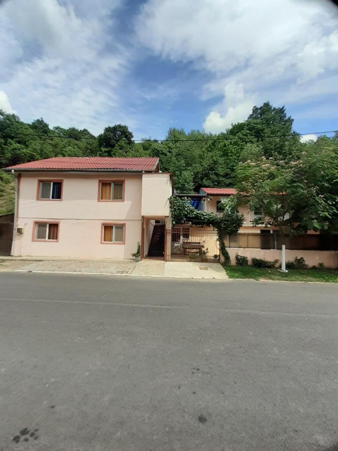 Casa Iza Apartment Baile Herculane Bagian luar foto