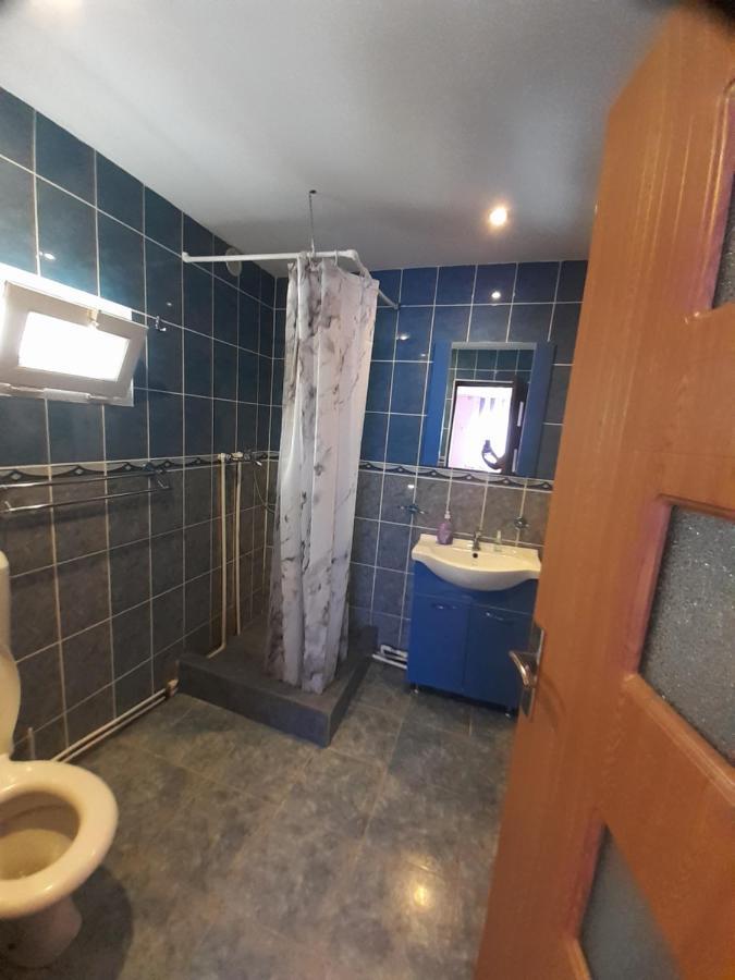 Casa Iza Apartment Baile Herculane Bagian luar foto